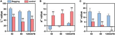 RNA-Seq reveals the key pathways and genes involved in the light-regulated flavonoids biosynthesis in mango (Mangifera indica L.) peel